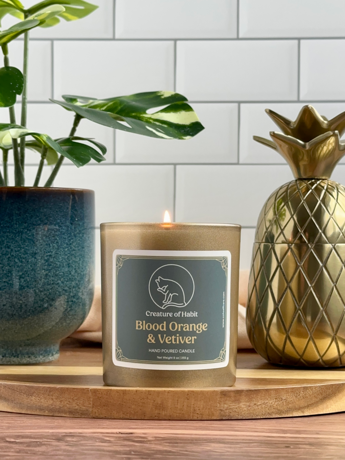 A lit soy candle within a golden vessel is placed on top of a wooden tray, next to a small houseplant and golden pineapple paperweight. The label is greyish cyan featuring the logo of a white cat silhouette, the name of the company Creature of Habit, and the scent name Blood Orange &amp; Vetiver.