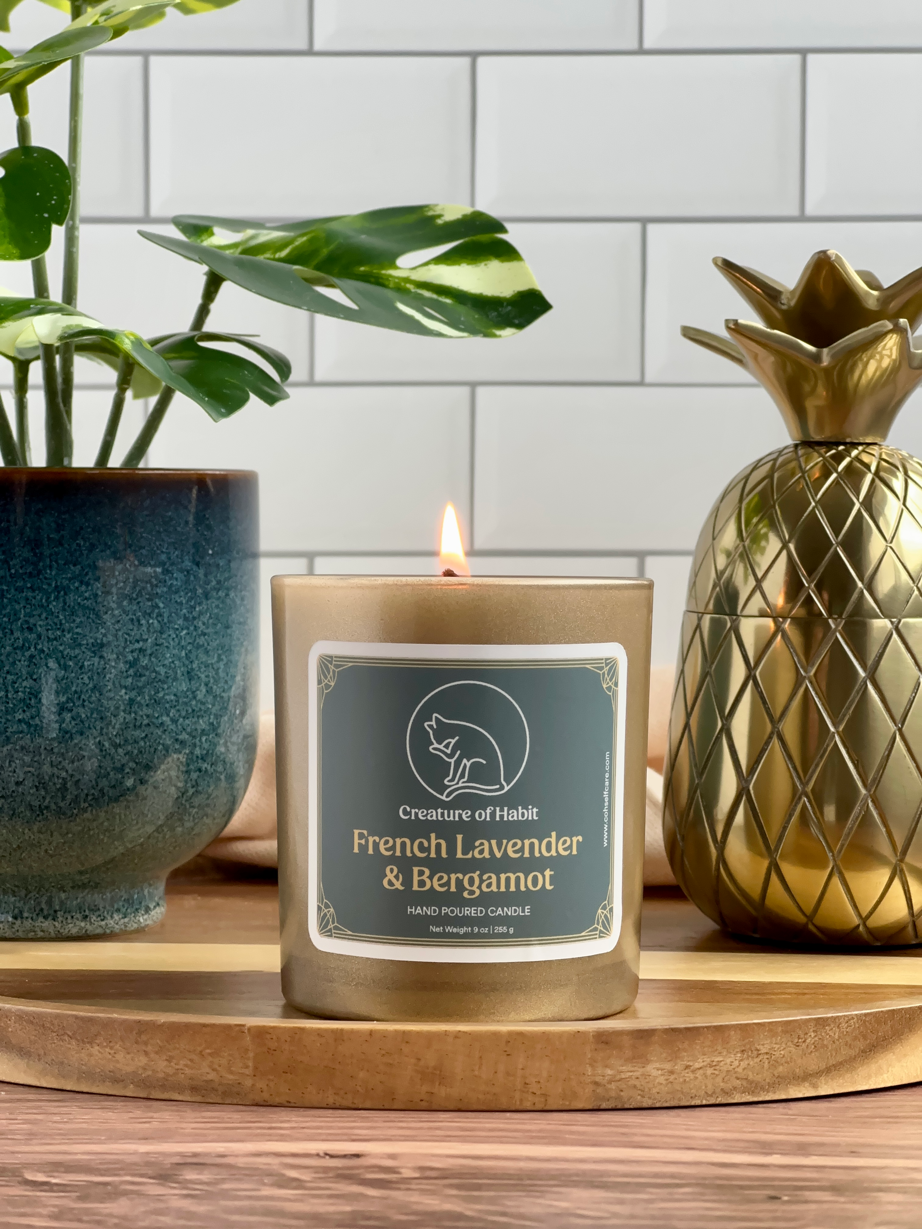 A lit soy candle within a golden vessel is placed on top of a wooden tray, next to a small houseplant and golden pineapple paperweight. The label is greyish cyan featuring the logo of a white cat silhouette, the name of the company Creature of Habit, and the scent name  French Lavender &amp; Bergamot.